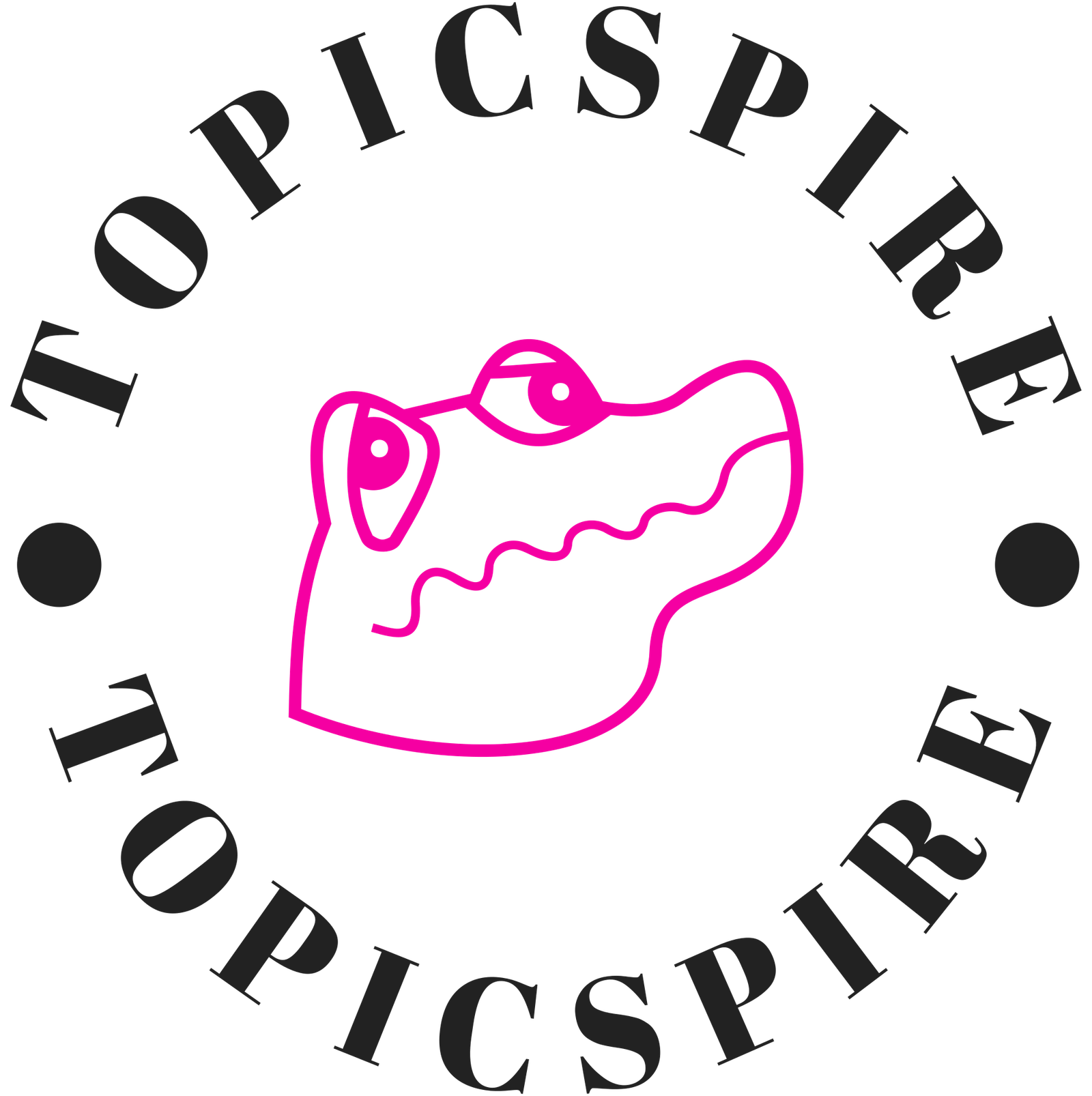 topicspire.com